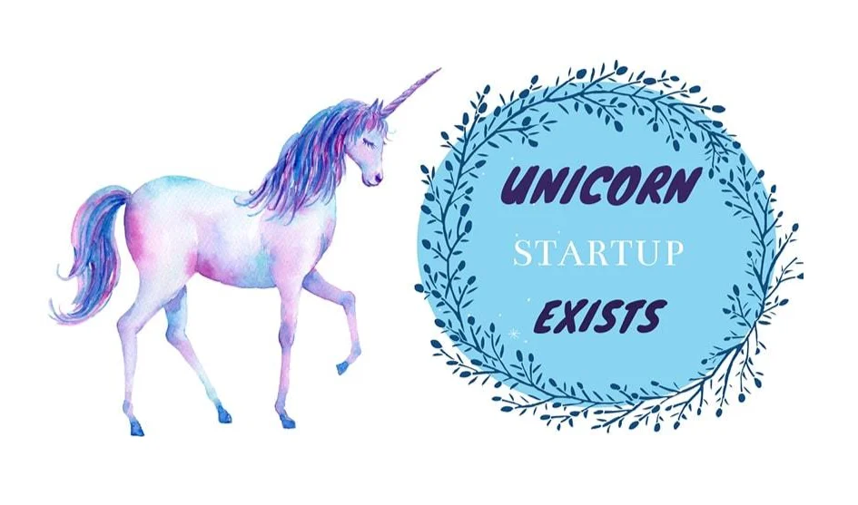 Unicorn startups