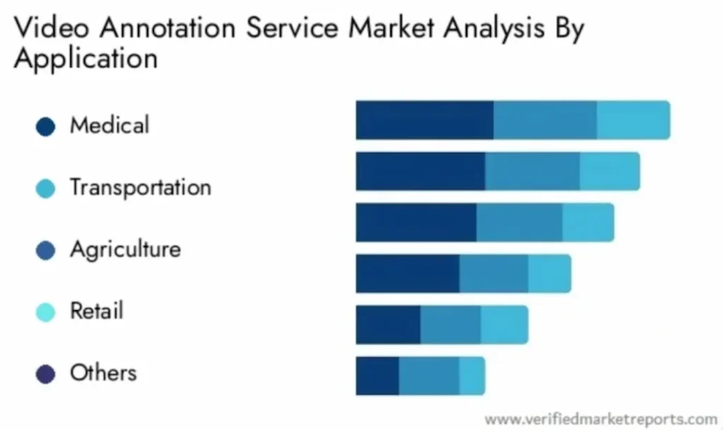 Video annotation market by application