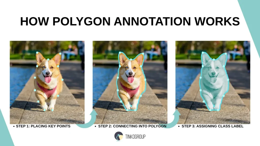 How polygon annotation works step by step with dog image