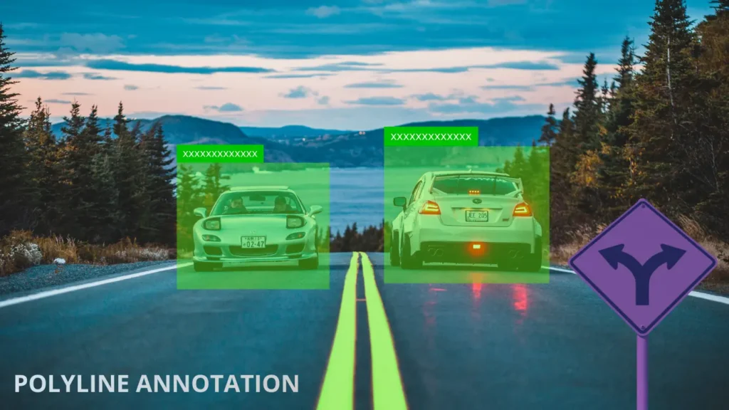 Polyline Annotation: Definition, Use Cases, and Importance for AI Picture