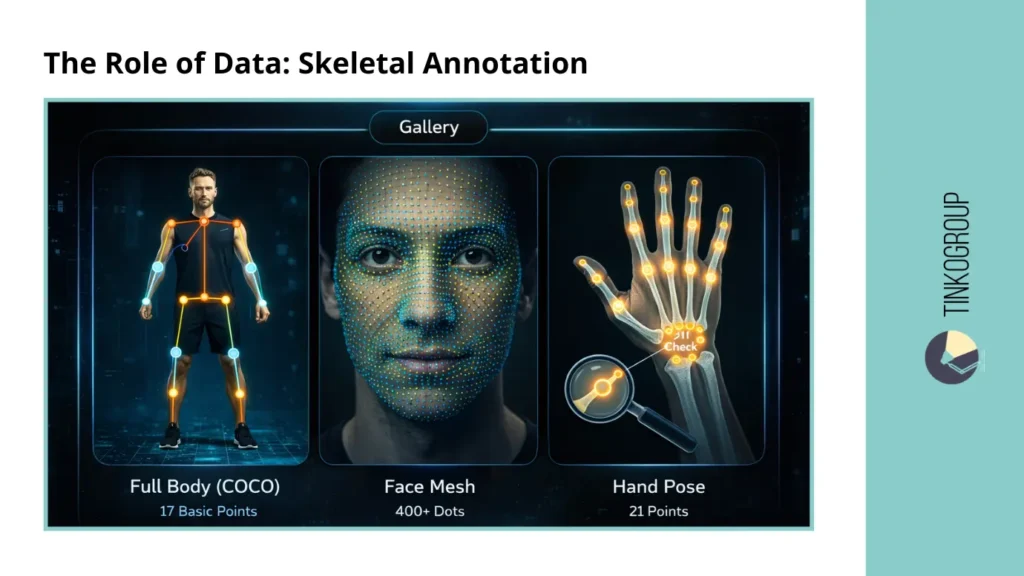 Three types of skeletal annotation for Human Pose Estimation: Full Body COCO with 17 points, Face Mesh with 400+ dots, and Hand Pose with 21 points by Tinkogroup.