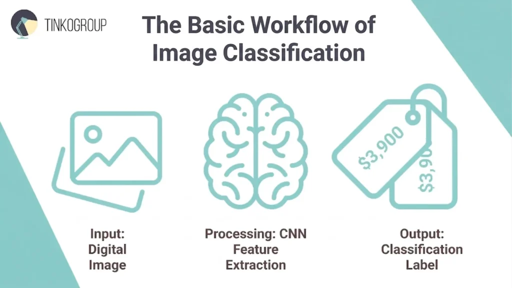 Updated diagram illustrating the image classification pipeline: input digital image, processing via CNN feature extraction, and output classification label.